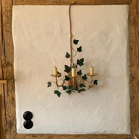 Apartamento Orchidee - Gutshaus Bückling